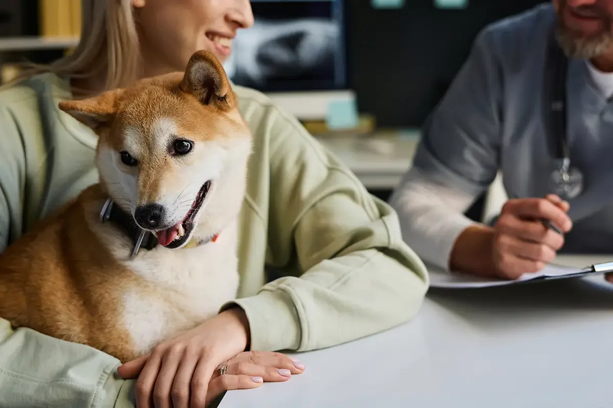 Tierarkrankenversicherung Hund