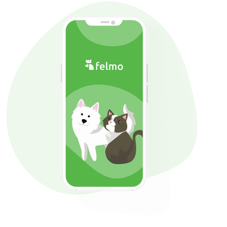 die felmo-App