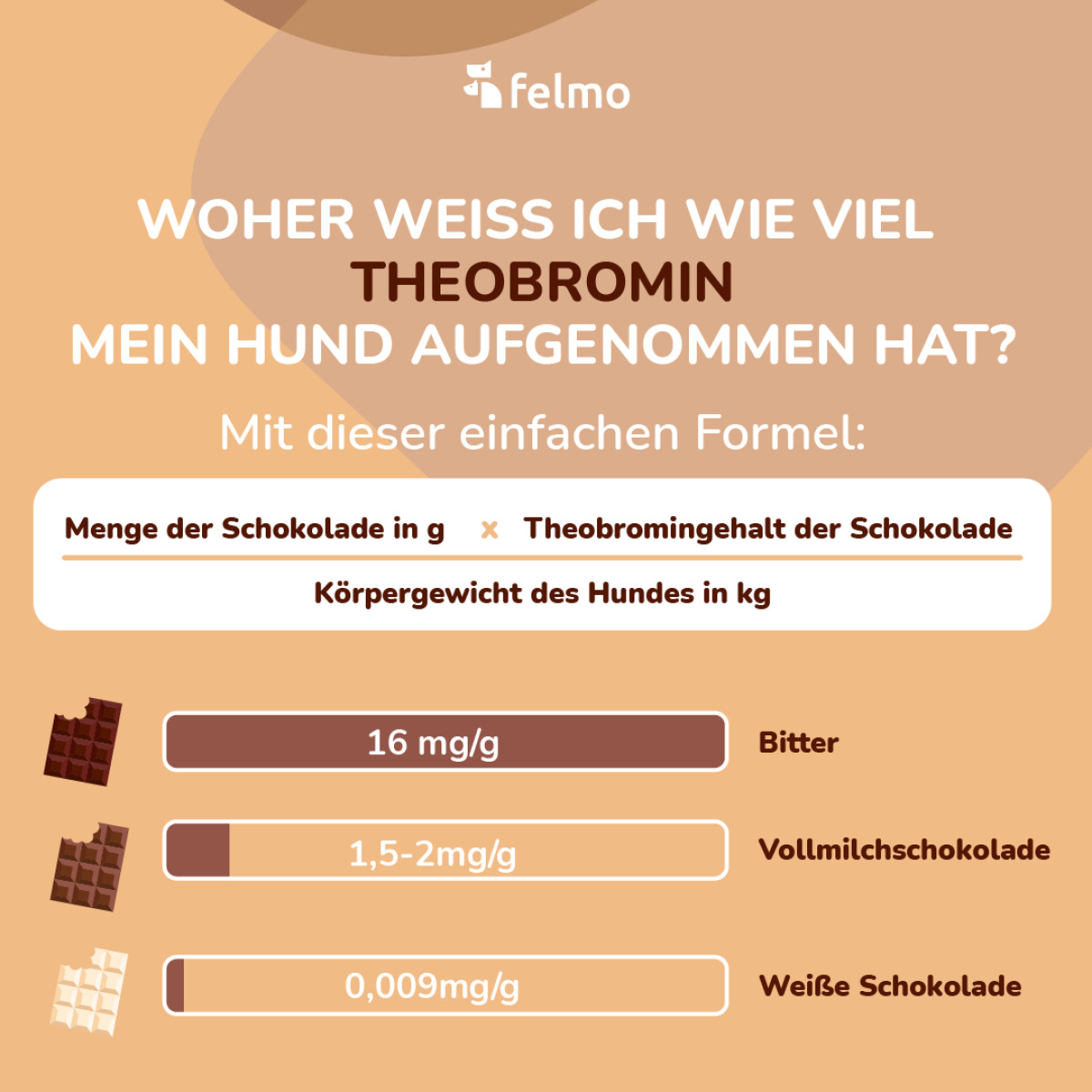 Hilfe, mein Hund hat Schokolade gefressen! felmo Ratgeber felmo
