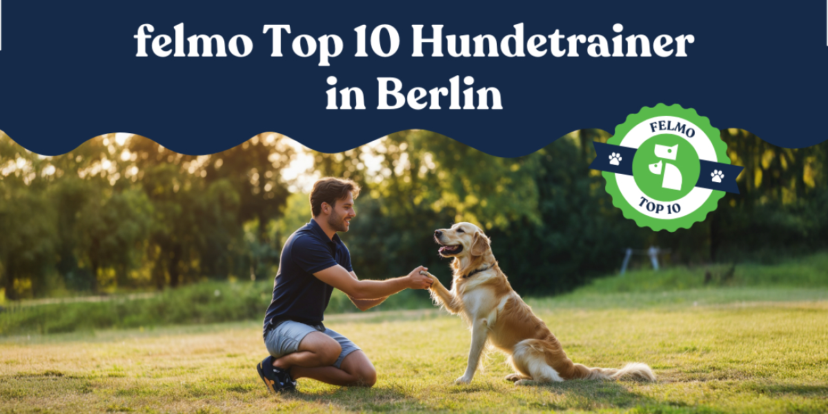 Männlicher Hundetrainer trainiert Hund