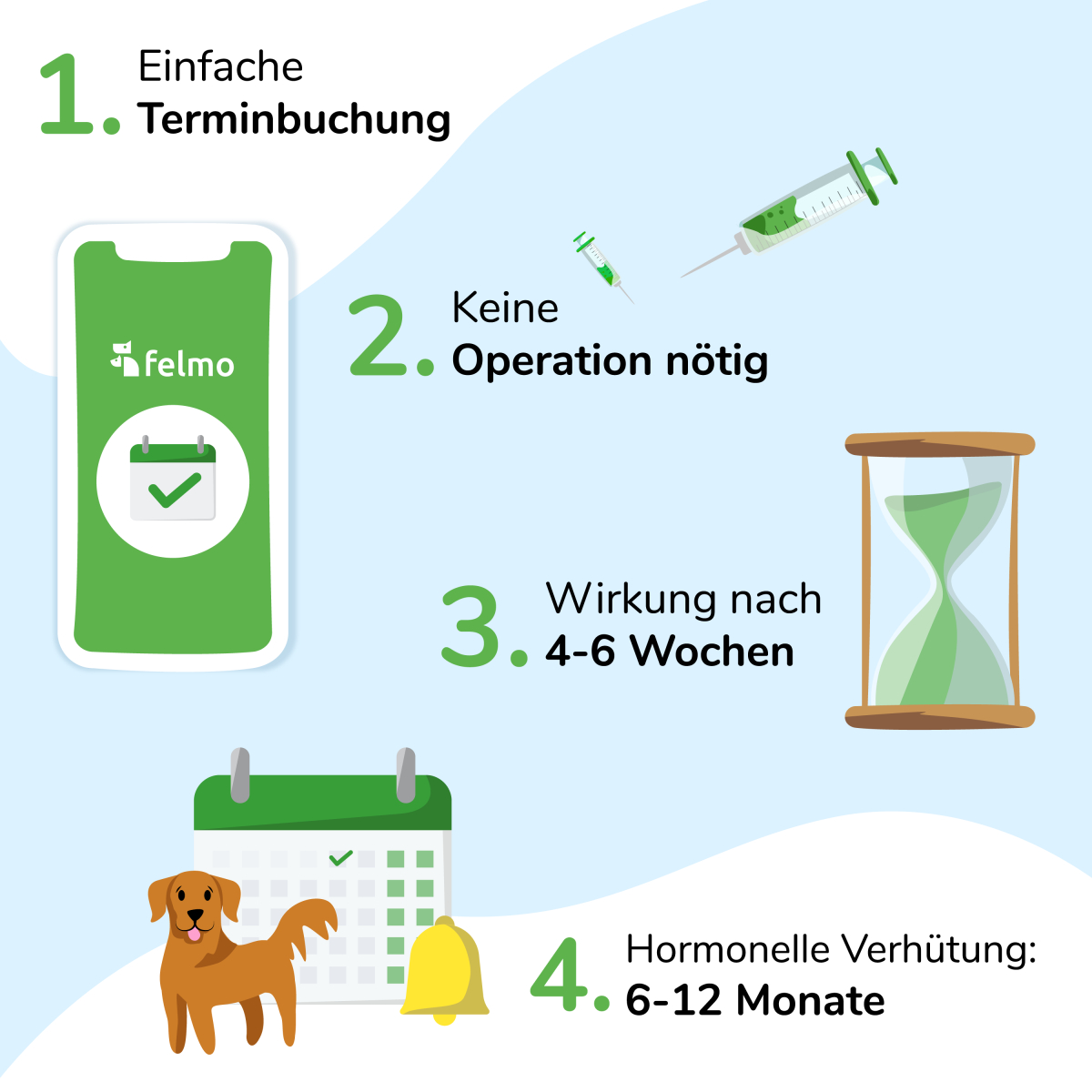 chemische kastration bei ruden felmo