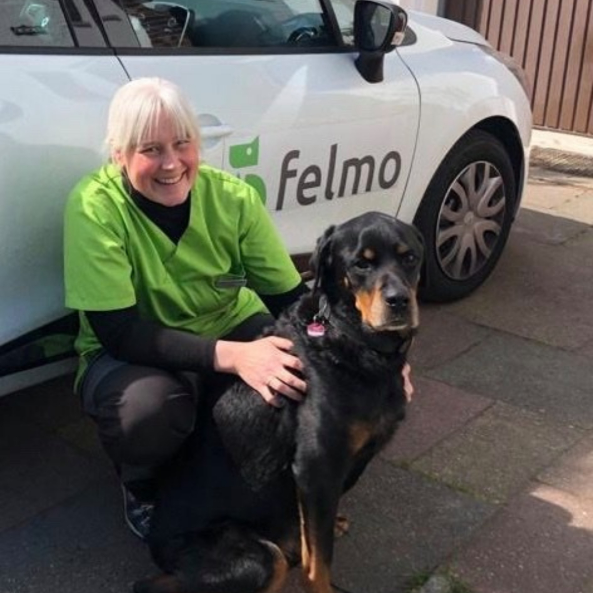 5 fakten zur schilddrusenunterfunktion beim hund felmo