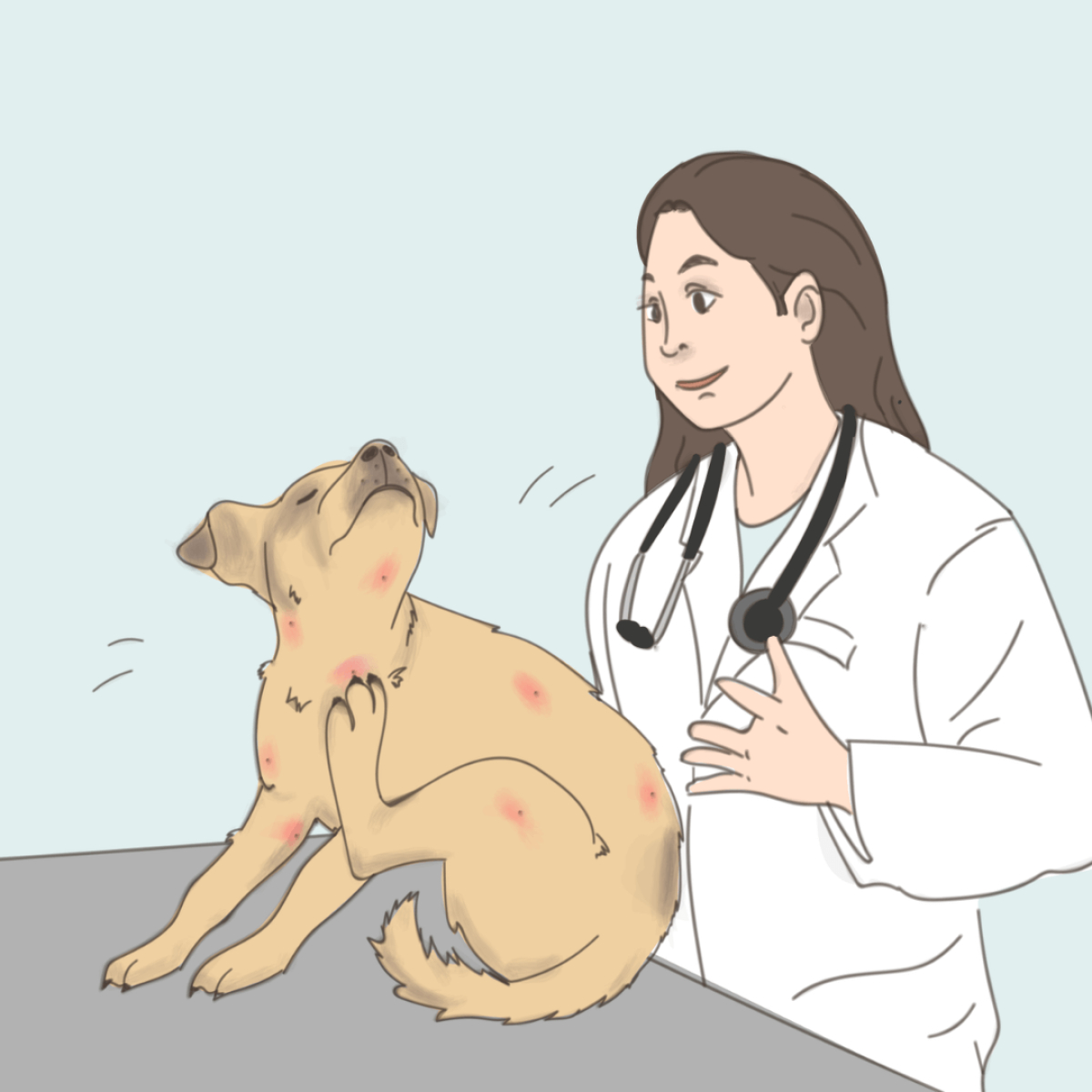 Hund zur Kontrolle beim Tierarzt