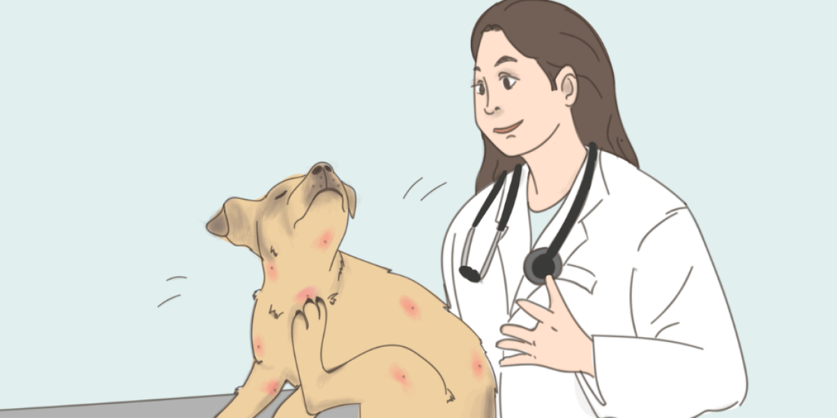 Hund zur Kontrolle beim Tierarzt