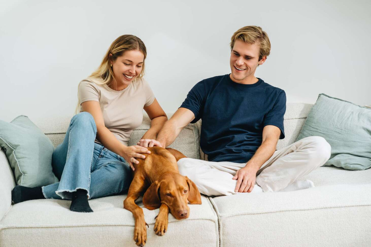 Mann und Frau sitzen auf einem weißen Sofa und streicheln ihren adoptierten Hund