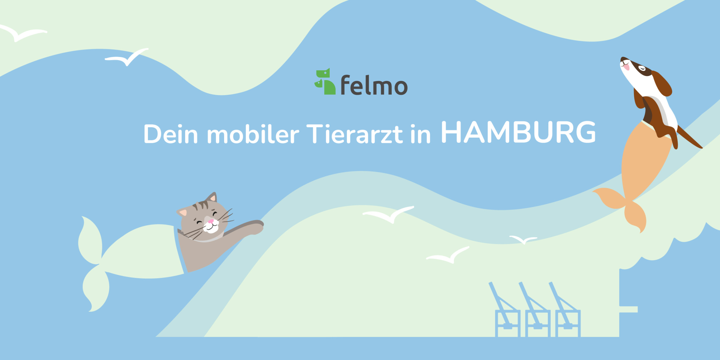 Mobiler Tierarzt Hamburg Hausbesuche felmo