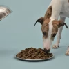 felmo Trockenfutter für Hunde