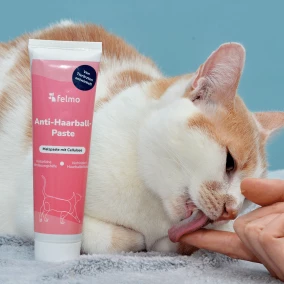 Anti-Haarball Paste für Katzen zur Unterstützung von Magen und Darm