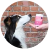 Ein Hund schaut zu seinem Herrchen hoch, der den felmo Verdauungssnack auf der Hand hält