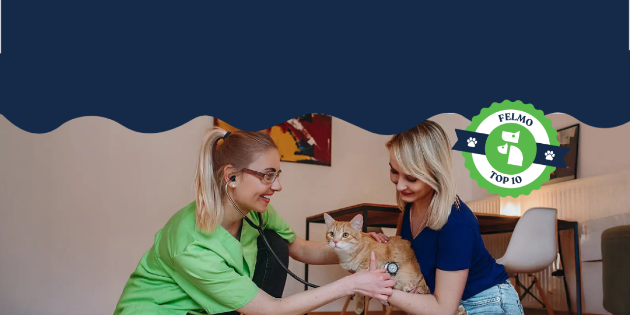 Die besten Unternehmen und Dienstleister für Tierhalter | felmo