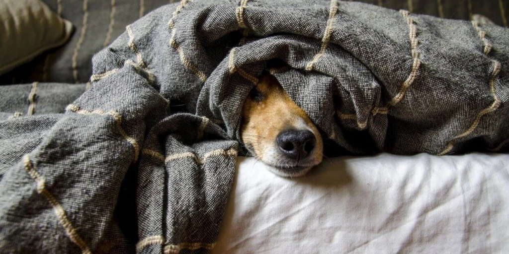 Clonazepam rezeptfrei kaufen