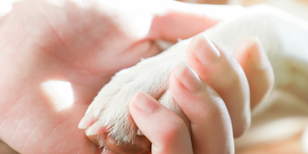 Eine Frau, die eine Hundepfote hält