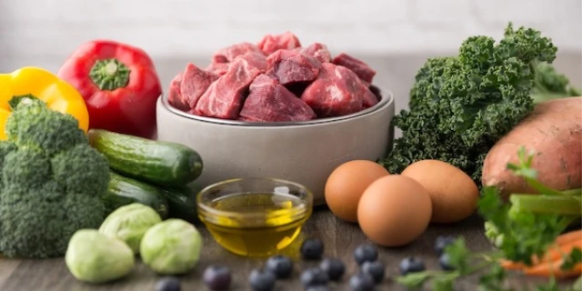Hunde-Ernährung
