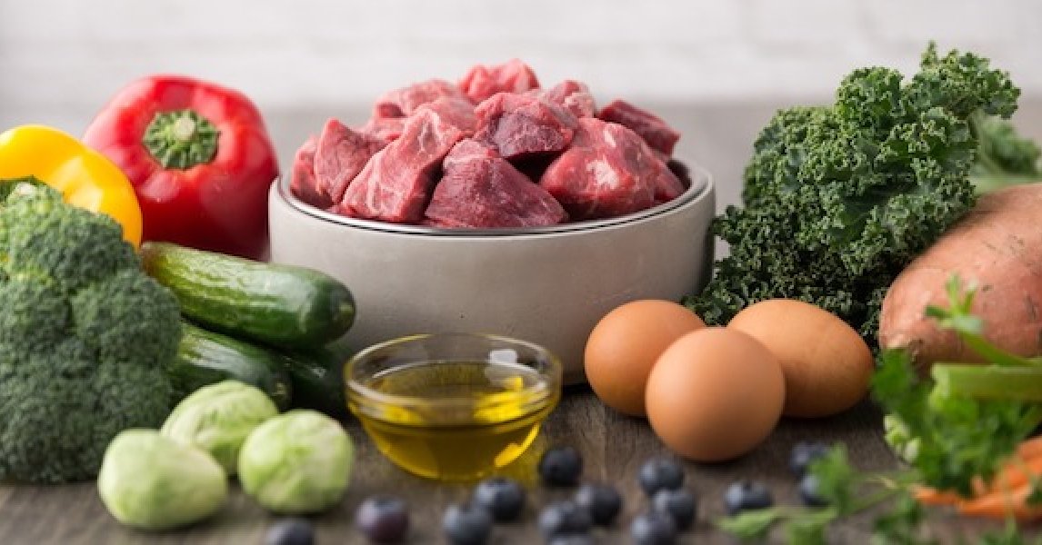 Die Grundlagen der richtigen Hundeernährung | felmo