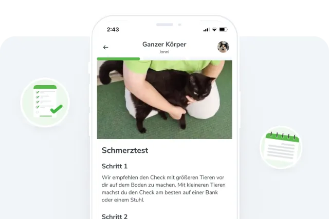 Tierärztlicher Ratgeber für Hunde- und Katzengesundheit | felmo