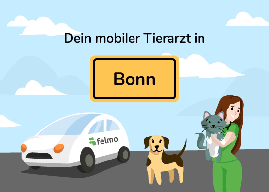 Dein mobiler Tierarzt in Bonn