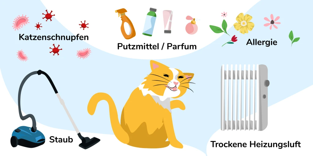 Ursachen Katze niest