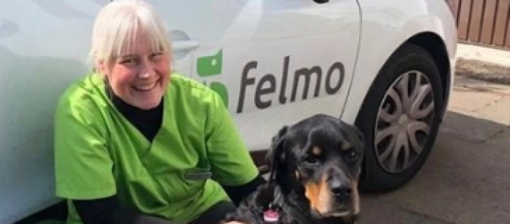 felmo unterwegs