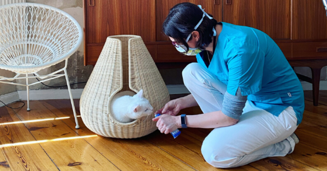 Katze frisst nicht mehr Was tun? • Ursachen felmo Ratgeber felmo