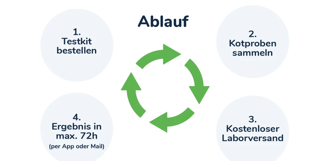 4 einfache Schritte zum erfolgreichen Giardien Check deines Hundes.