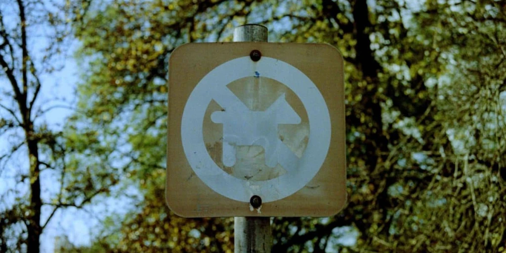 Ein Schild, das darauf hinweist, dass in diesem Bereich keine Hunde mitgeführt werden dürfen.
