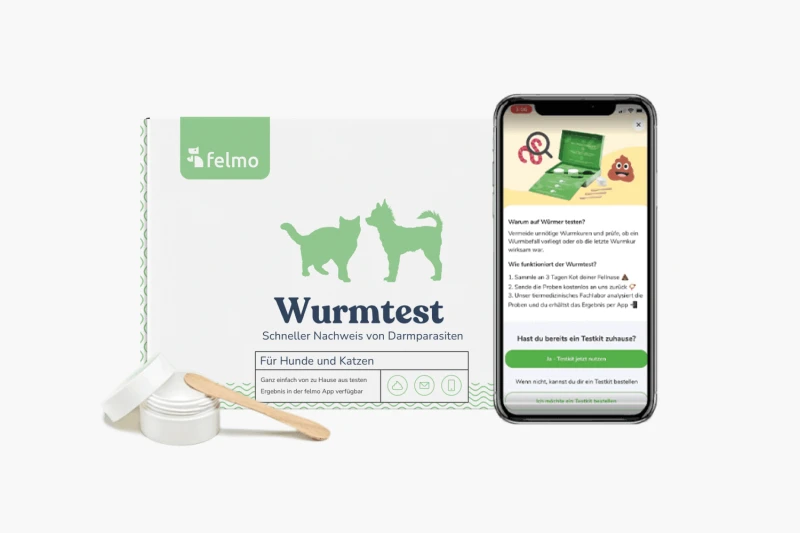 felmo-wurmtest-für-hunde-und-katzen