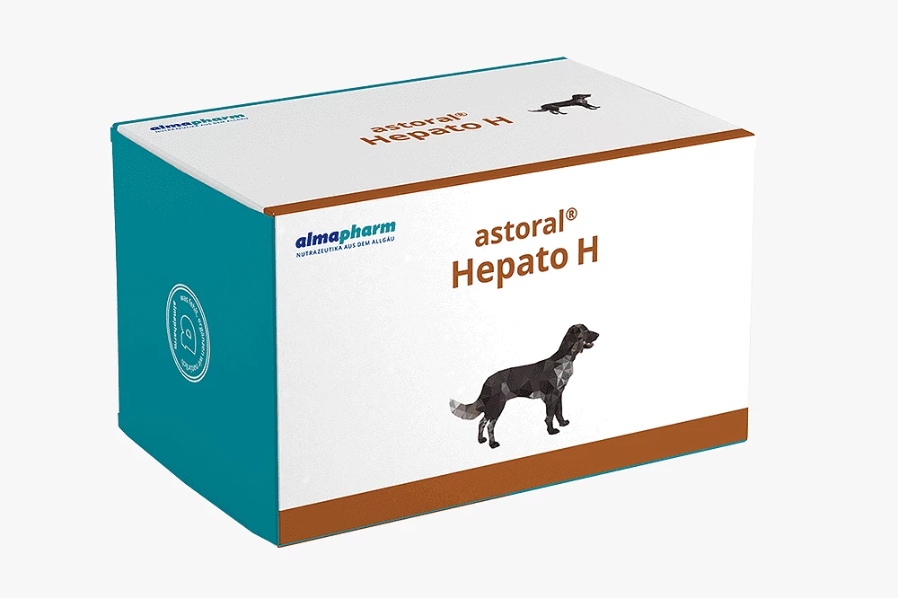 felmo-astoral-hepato-h-hund