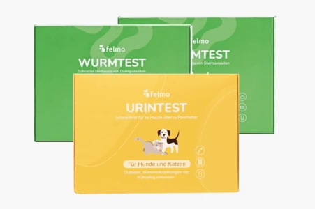 felmo-vorsorge-plus-katze