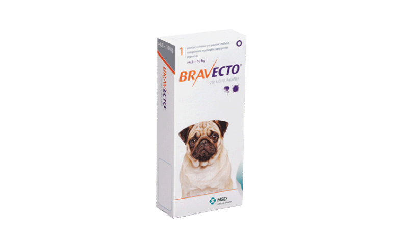 bravecto hund zeckenschutz felmo