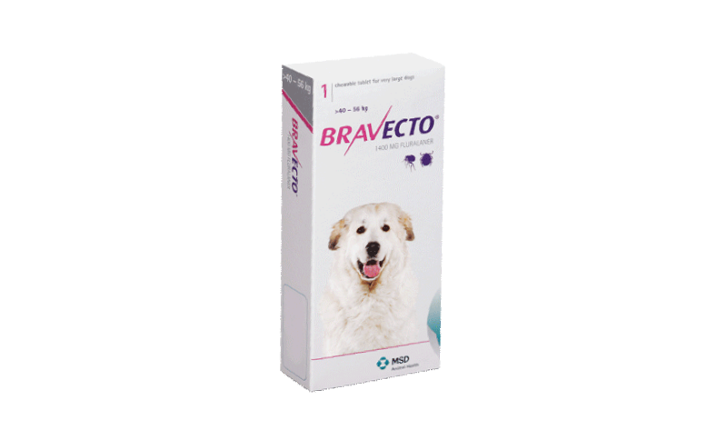 bravecto hund zeckenschutz felmo