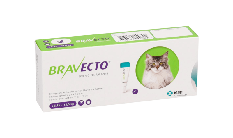 bravecto spot on fur katzen felmo