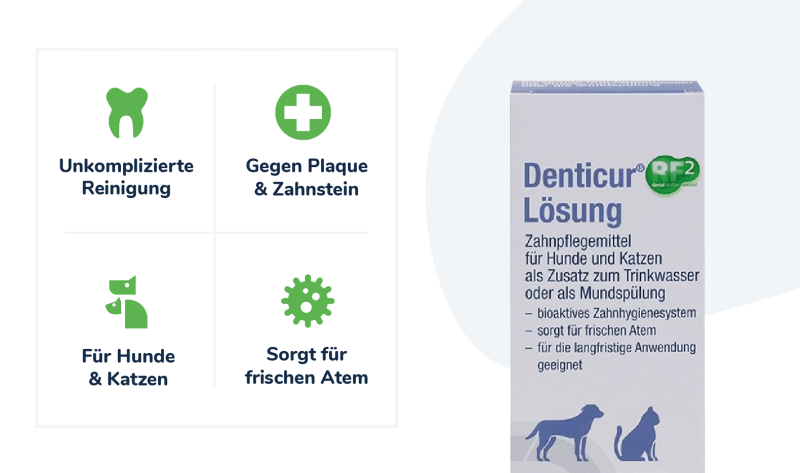 felmo-Denticur-Lösung-hund-katze