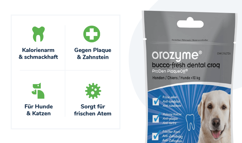 felmo-Orozyme-Bucco-Fresh-Dental-Croqs
