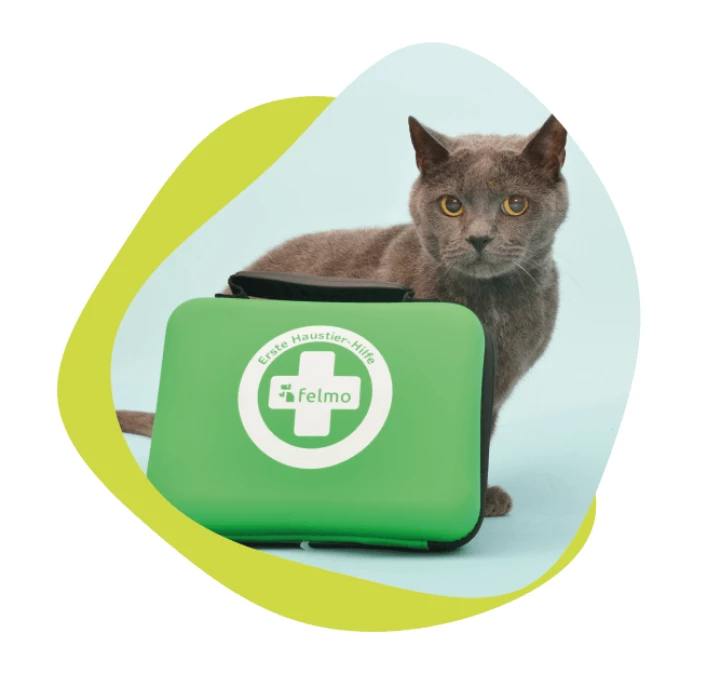 Erste Hilfe Set für Haustiere Hund Katze Notfalltasche 24tlg MHD 2027  Verbandkas