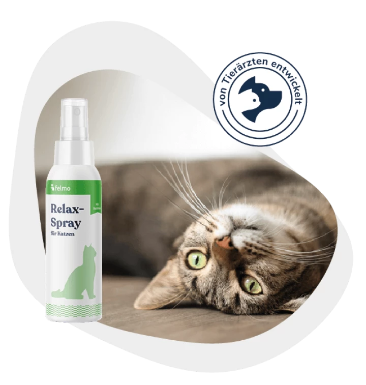 felmo Relax-Spray für Katzen (200ml)