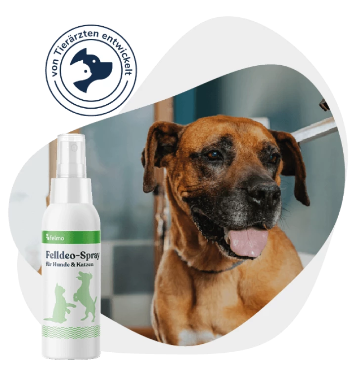 felmo Felldeo-Spray für Hunde und Katzen (125ml)