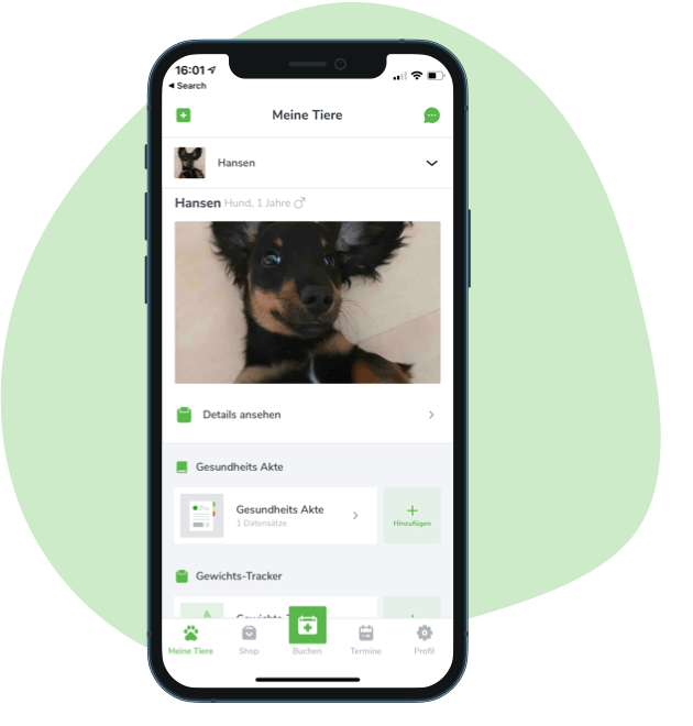 Mobile Ansicht mit Hund