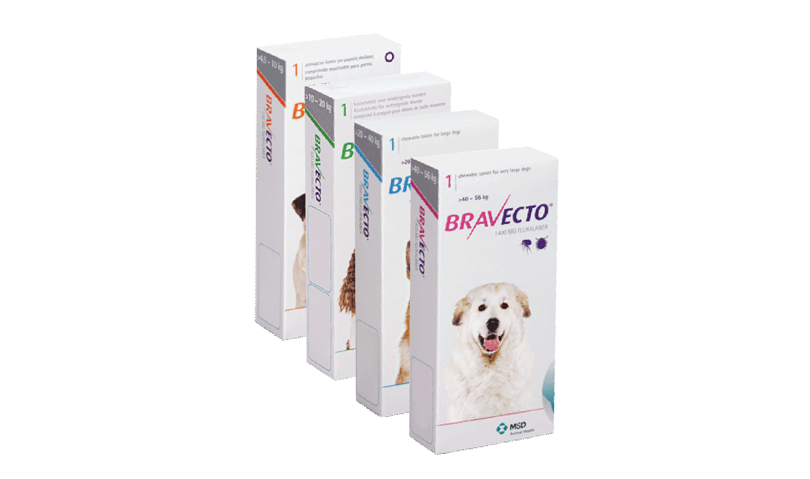 Bravecto Hund Kaufen Ohne Rezept