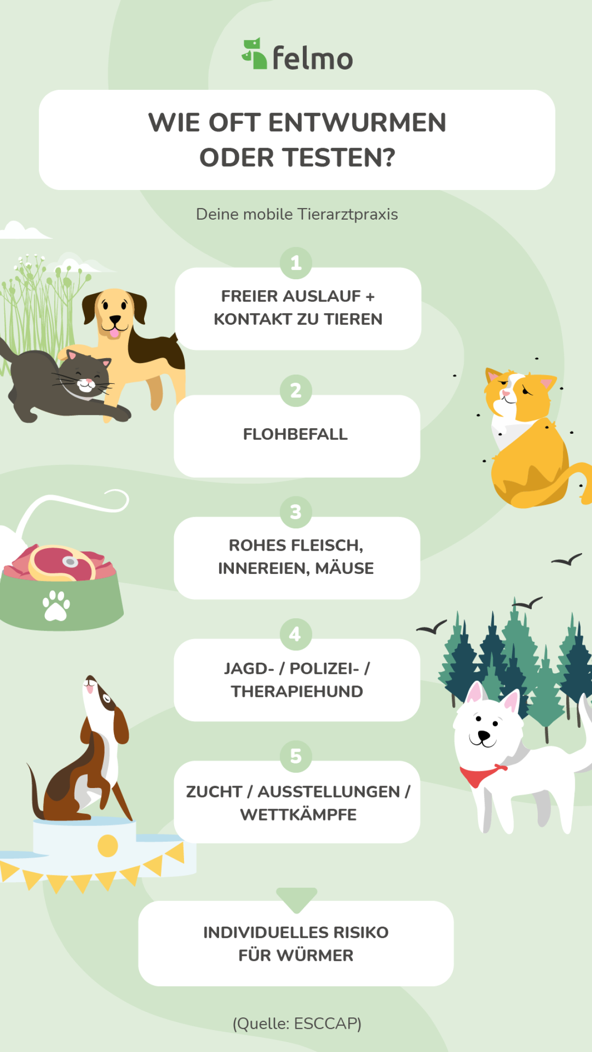 wie oft entwurmen